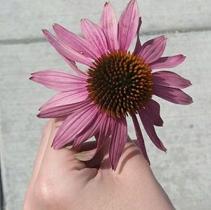 Meet your Posher, Crystal